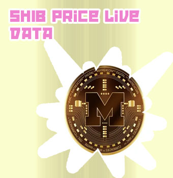 Shiva coin crypto price